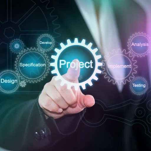 IT Project Management